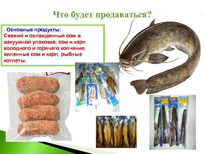 Что будет продаваться? - Основные продукты: Свежий и охлажденный сом в вакуумной упаковке, сом