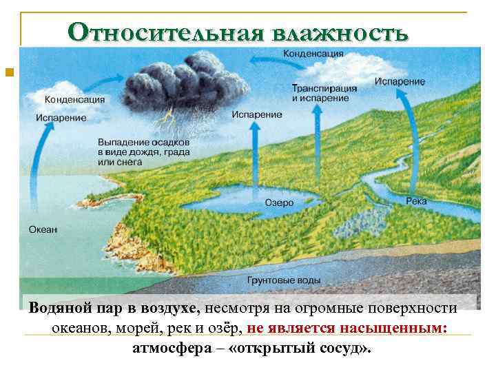 Относительная влажность n Чтобы судить о степени влажности воздуха, важно знать, насколько содержащийся в