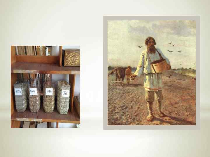 *1. СЕВ Семена льна. 