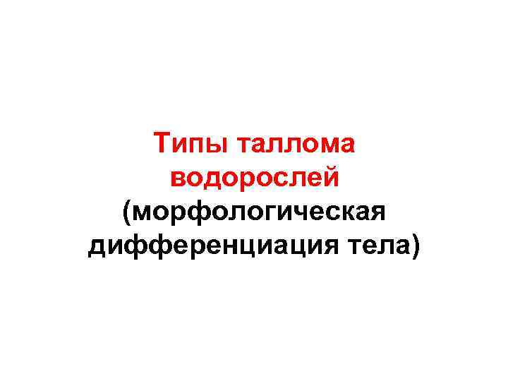 Типы таллома водорослей (морфологическая дифференциация тела) 