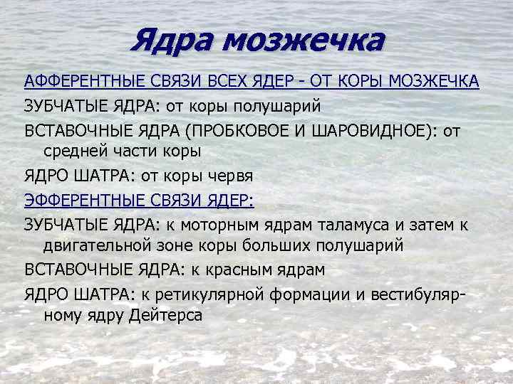 Ядра мозжечка АФФЕРЕНТНЫЕ СВЯЗИ ВСЕХ ЯДЕР - ОТ КОРЫ МОЗЖЕЧКА ЗУБЧАТЫЕ ЯДРА: от коры