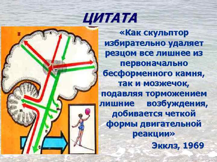 ЦИТАТА «Как скульптор избирательно удаляет резцом все лишнее из первоначально бесформенного камня, так и
