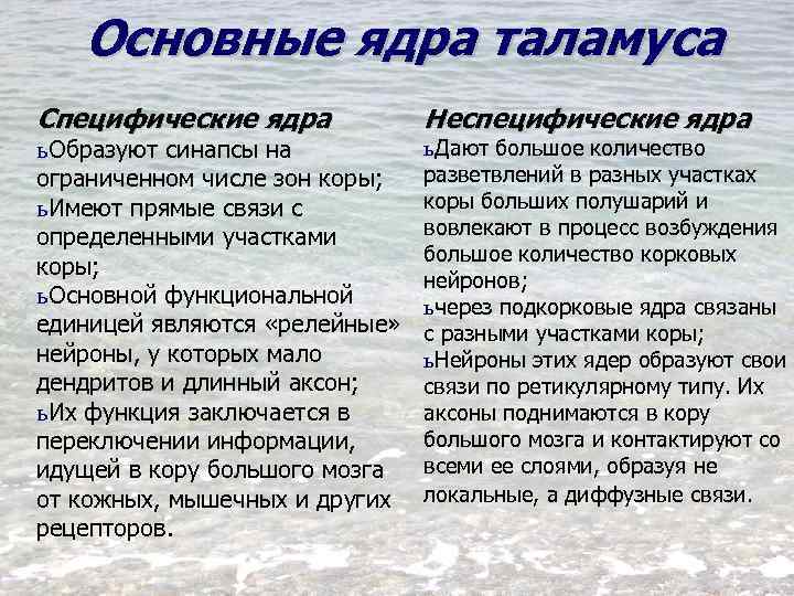 Основные ядра таламуса Специфические ядра ь Образуют синапсы на ограниченном числе зон коры; ь