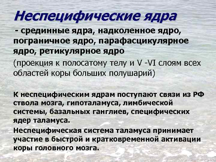 Неспецифические ядра - срединные ядра, надколенное ядро, пограничное ядро, парафасцикулярное ядро, ретикулярное ядро (проекция