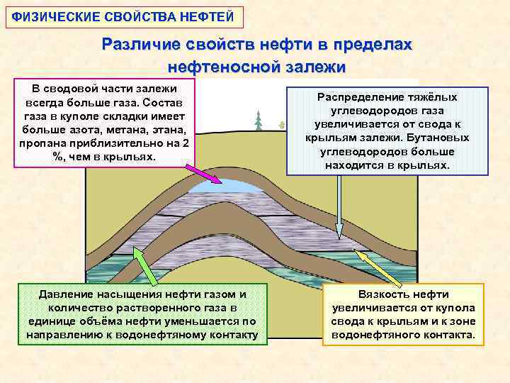 ФИЗИЧЕСКИЕ СВОЙСТВА НЕФТЕЙ Различие свойств нефти в пределах нефтеносной залежи В сводовой части залежи