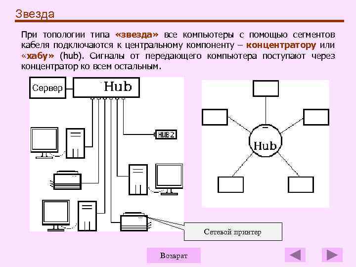 Звезда При топологии типа «звезда» все компьютеры с помощью сегментов кабеля подключаются к центральному