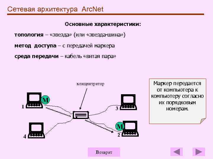 Сетевая архитектура Arc. Net Основные характеристики: топология – «звезда» (или «звезда-шина» ) метод доступа