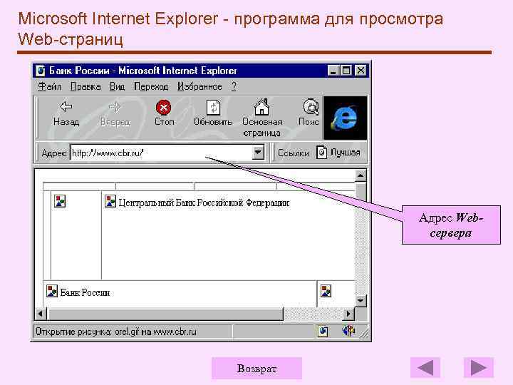 Microsoft Internet Explorer - программа для просмотра Web-страниц Адрес Webсервера Возврат 