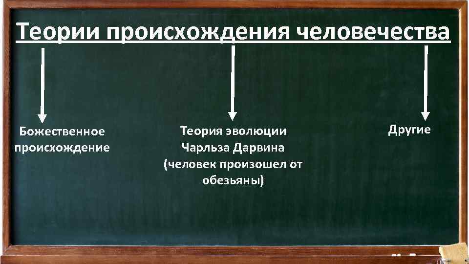 Теории происхождения человечества Божественное происхождение Теория эволюции Чарльза Дарвина (человек произошел от обезьяны) Другие