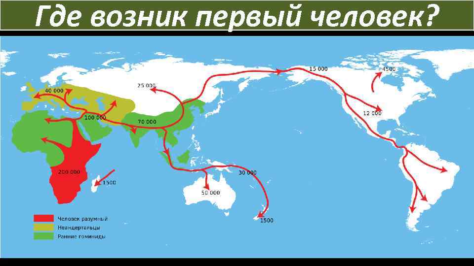 Где возник первый человек? 