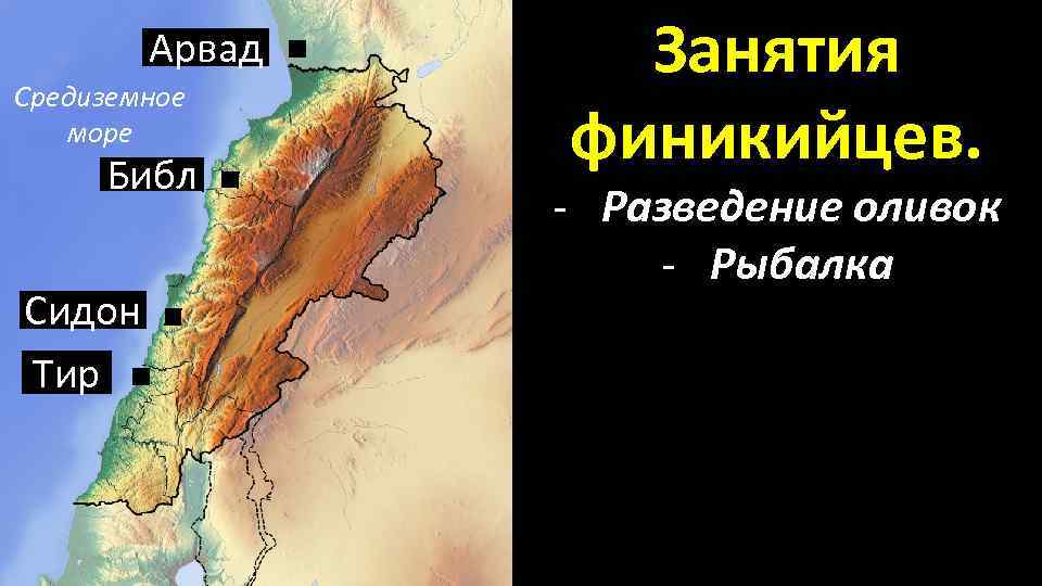 Арвад Средиземное море Библ Сидон Тир Занятия финикийцев. - Разведение оливок - Рыбалка 