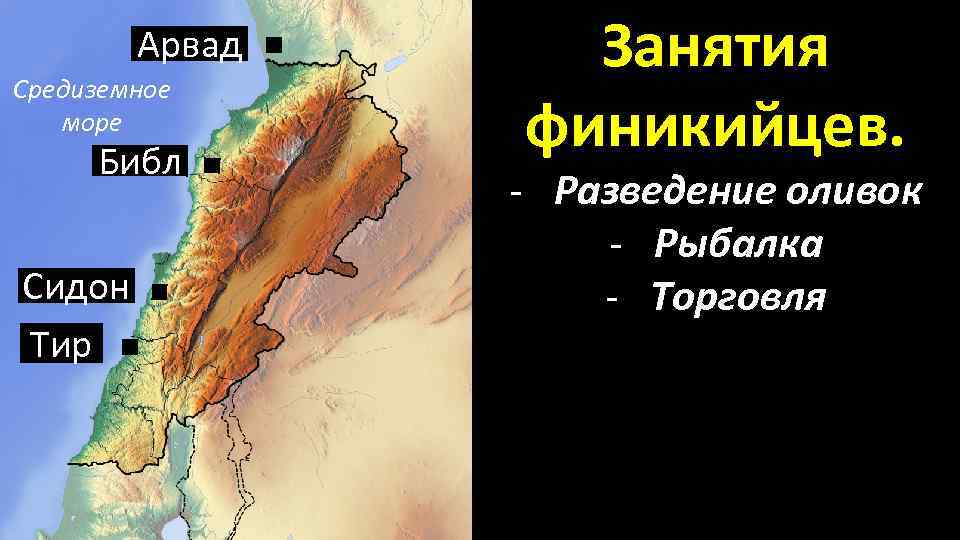 Арвад Средиземное море Библ Сидон Тир Занятия финикийцев. - Разведение оливок - Рыбалка -