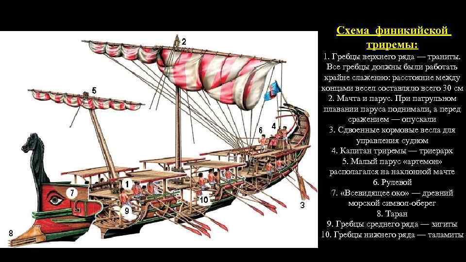 Финикийские мореплаватели. Торговый корабль финикийцев. Трирема судно финикийское. Финикийская Галера. Трирема корабль финикийцы.