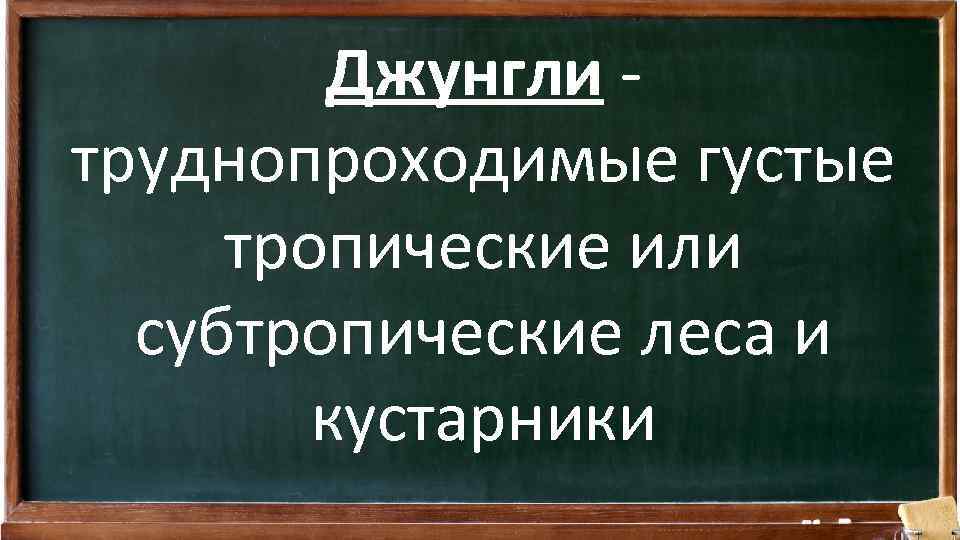 Джунгли труднопроходимые густые тропические или субтропические леса и кустарники 