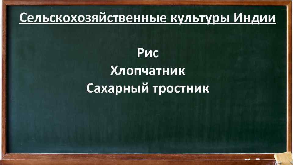 Сельскохозяйственные культуры Индии Рис Хлопчатник Сахарный тростник 