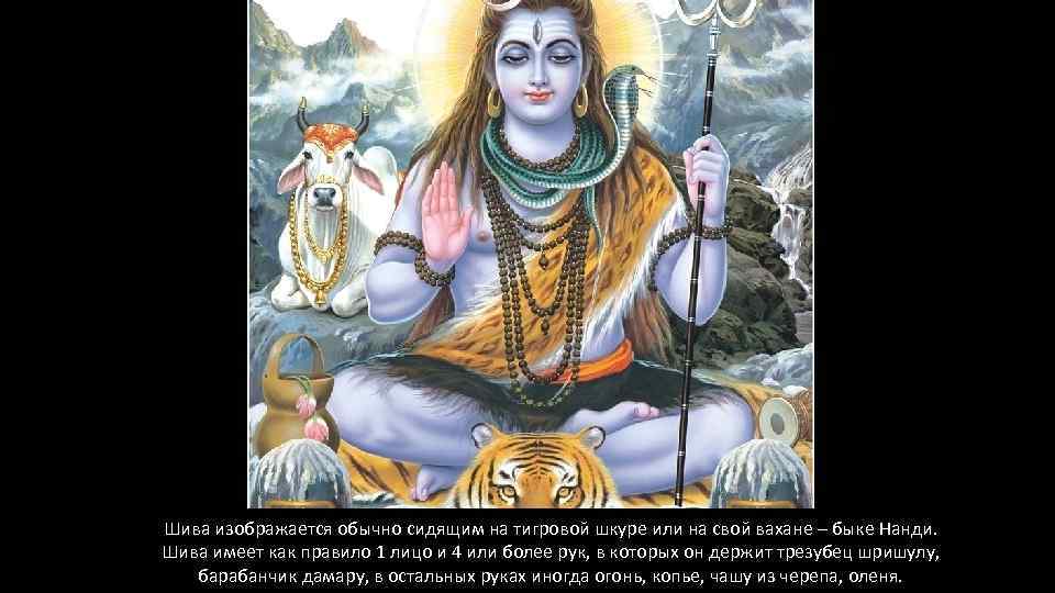 Шива изображается обычно сидящим на тигровой шкуре или на свой вахане – быке Нанди.
