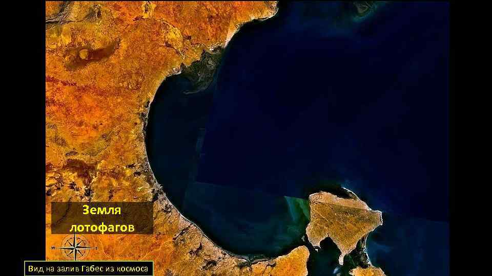Земля лотофагов Вид на залив Габес из космоса 