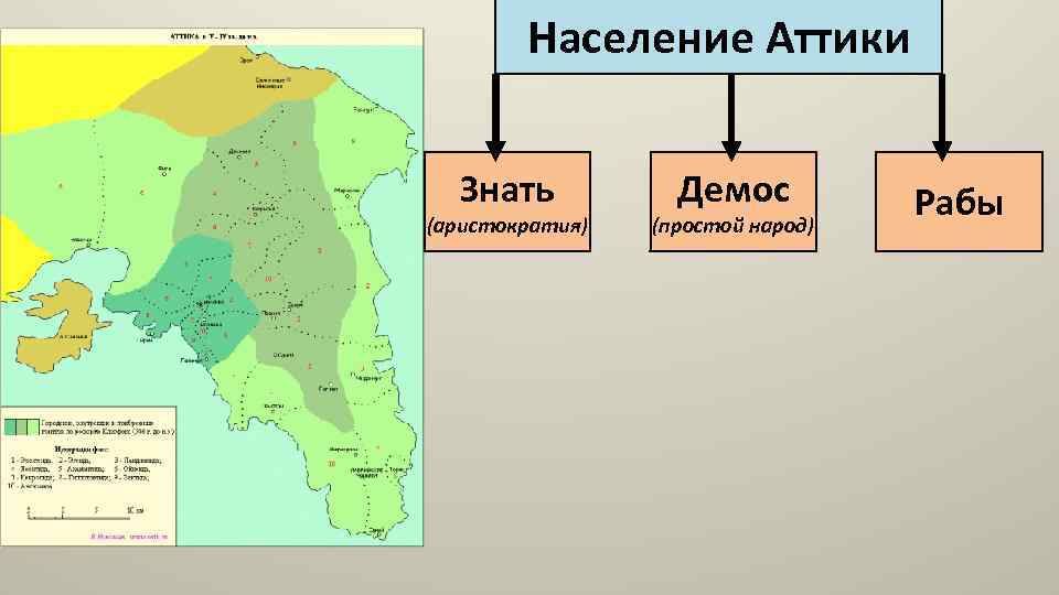 Население Аттики Знать (аристократия) Демос (простой народ) Рабы 