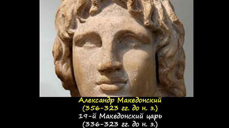 Как звали последнего царя македонии. Александр Македонский 356 -323. Любимая собака Македонского. Перитос.