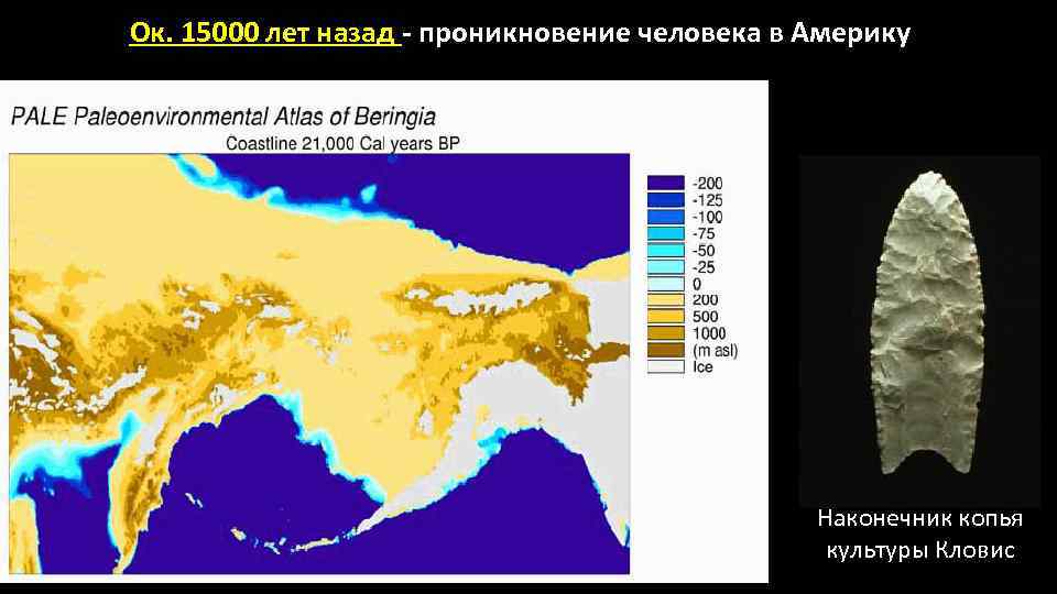 Ок. 15000 лет назад - проникновение человека в Америку Наконечник копья культуры Кловис 