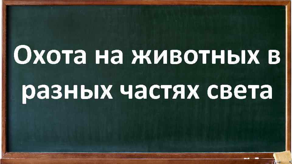 Охота на животных в разных частях света 