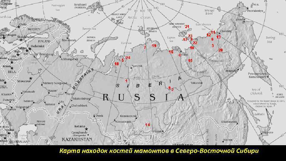 Карта находок костей мамонтов в Северо-Восточной Сибири 