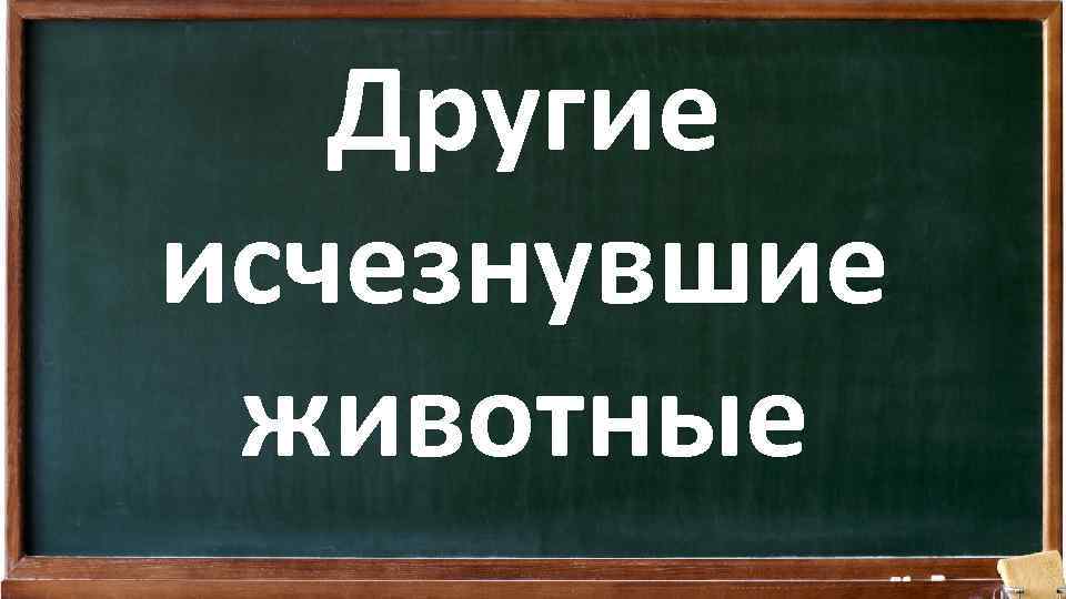 Другие исчезнувшие животные 