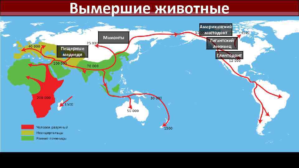 Вымершие животные Мамонты Пещерные медведи Американский мастодонт Гигантский ленивец Глиптодонт 