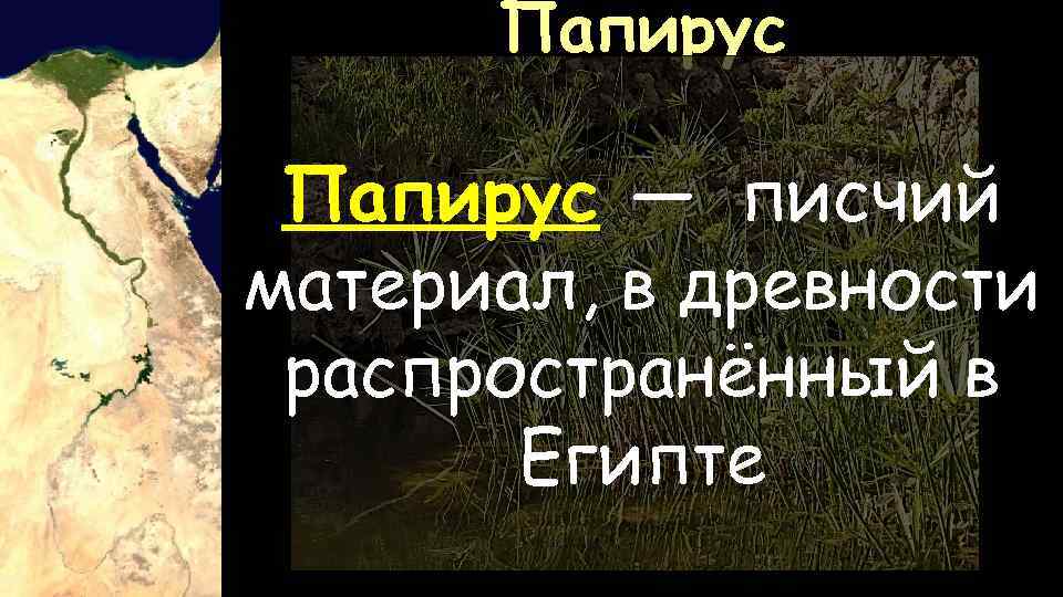 Папирус — писчий материал, в древности распространённый в Египте 
