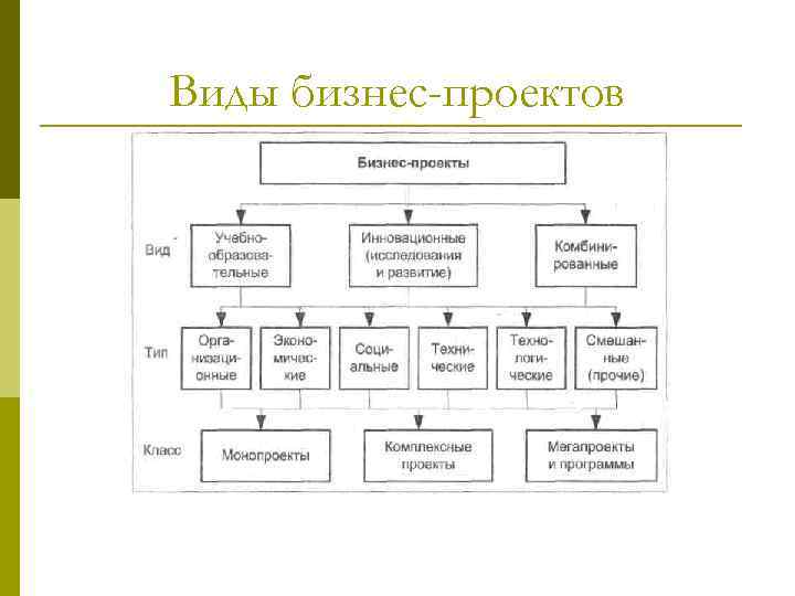 Тип бизнес проекта