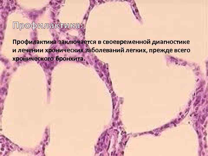 Профилактика: Профилактика заключается в своевременной диагностике и лечении хронических заболеваний легких, прежде всего хронического