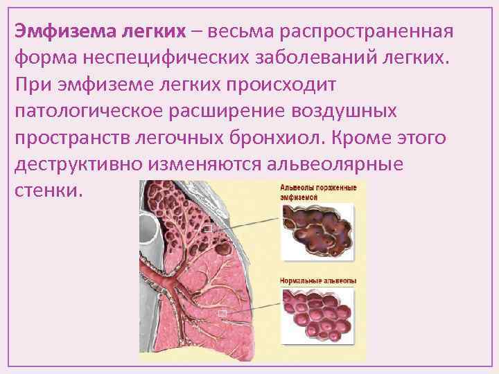 Что происходит в легких