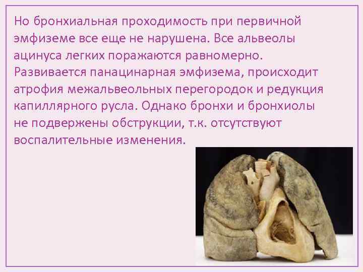 Но бронхиальная проходимость при первичной эмфиземе все еще не нарушена. Все альвеолы ацинуса легких