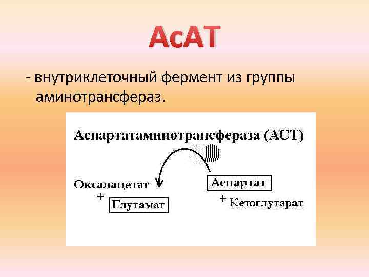 Ас. АТ внутриклеточный фермент из группы аминотрансфераз. 