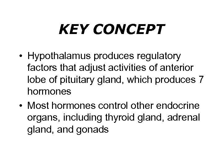KEY CONCEPT • Hypothalamus produces regulatory factors that adjust activities of anterior lobe of