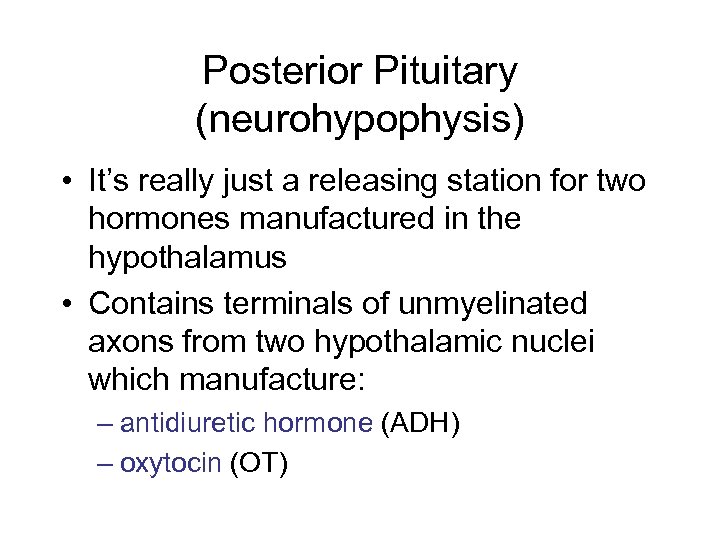 Posterior Pituitary (neurohypophysis) • It’s really just a releasing station for two hormones manufactured