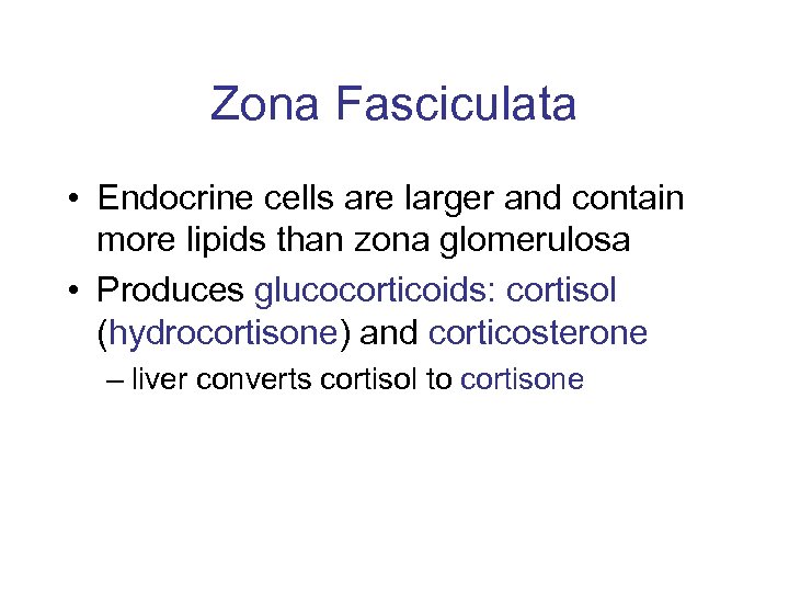 Zona Fasciculata • Endocrine cells are larger and contain more lipids than zona glomerulosa
