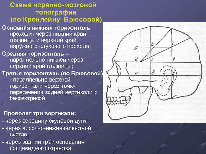 Схема черепно-мозговой топографии (по Кронлейну–Брюсовой) Основная нижняя горизонталь проходит через нижний край глазницы и