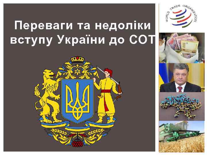Переваги та недоліки вступу України до СОТ 