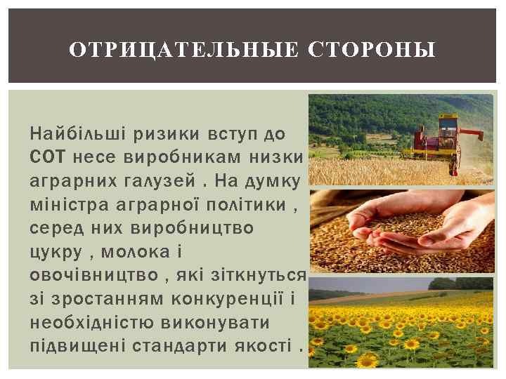 ОТРИЦАТЕЛЬНЫЕ СТОРОНЫ Найбільші ризики вступ до СОТ несе виробникам низки аграрних галузей. На думку