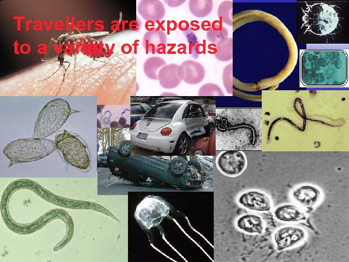 Travellers are exposed to a variety of hazards 