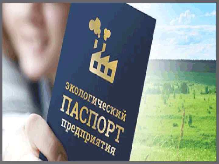 Паспорт компании образец