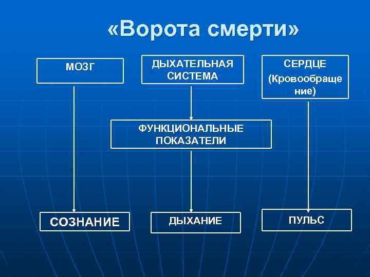  «Ворота смерти» МОЗГ ДЫХАТЕЛЬНАЯ СИСТЕМА СЕРДЦЕ (Кровообраще ние) ФУНКЦИОНАЛЬНЫЕ ПОКАЗАТЕЛИ СОЗНАНИЕ ДЫХАНИЕ ПУЛЬС