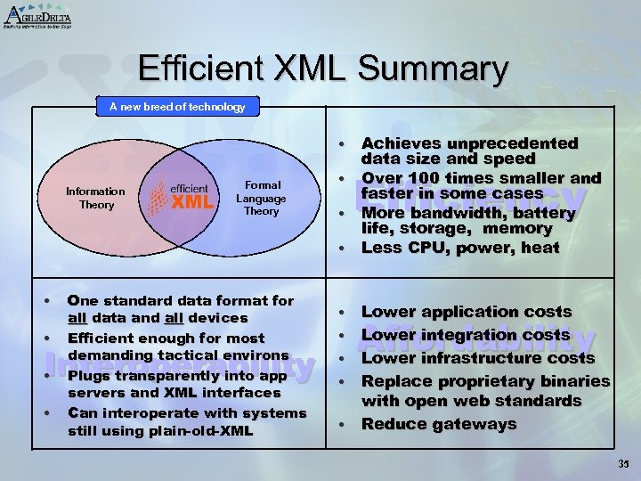 Efficient XML Summary A new breed of technology Efficient XML Achieves unprecedented data size