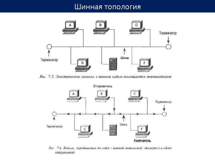 Со всех устройств. Топология шина схема. Топология сети звезда схема Циско. Шинная топология Cisco. Топология шина Циско.