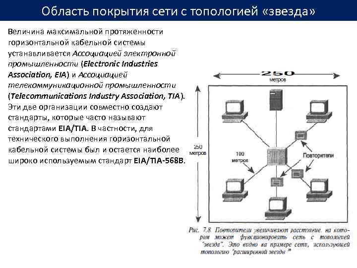 Область покрытия сети с топологией «звезда» Величина максимальной протяженности горизонтальной кабельной системы устанавливается Ассоциацией