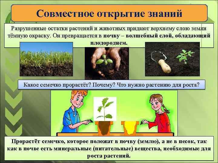 Совместное открытие знаний Разрушенные остатки растений и животных придают верхнему слою земли тёмную окраску.