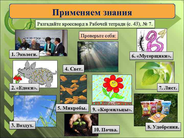 Применяем знания Разгадайте кроссворд в Рабочей тетради (с. 43), № 7. Проверьте себя: 1.