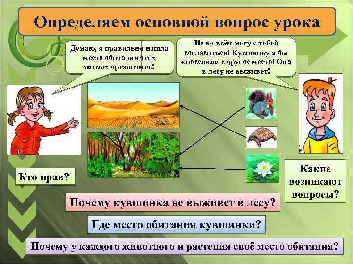 Определяем основной вопрос урока Думаю, я правильно нашла место обитания этих живых организмов! Не