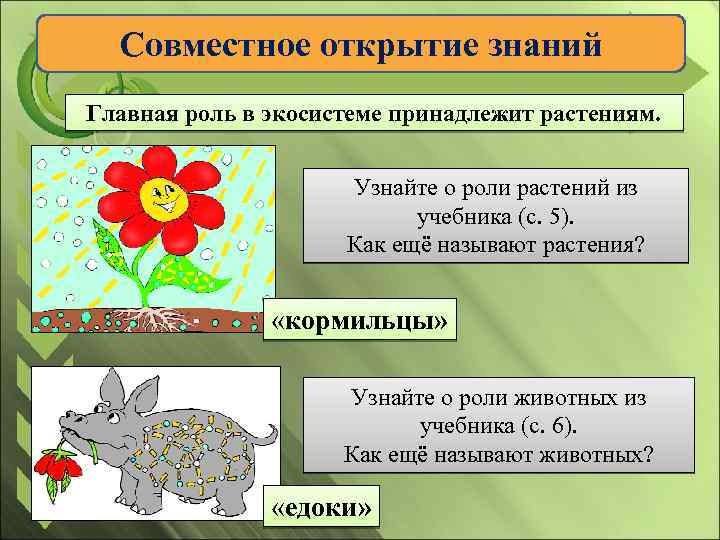 Совместное открытие знаний Главная роль в экосистеме принадлежит растениям. Узнайте о роли растений из